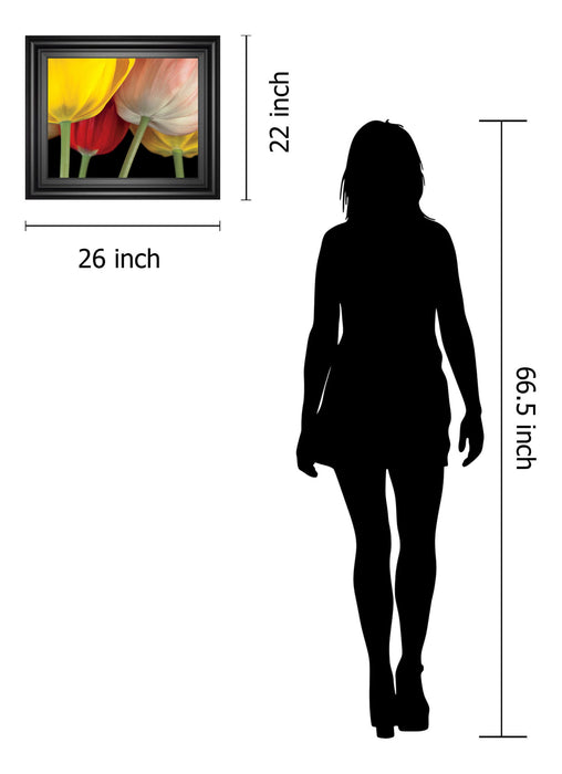 Sunshine Tulips By Frank, A. - Framed Print Wall Art - Yellow