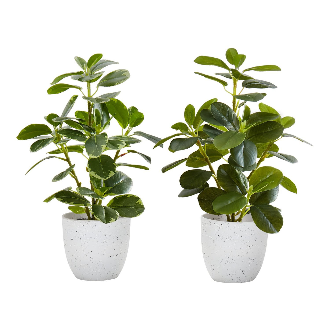 Home Accents > Planters & Vases