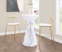 Modern Charlotte - Contemporary Fixed Height Barstool (Set of 2)