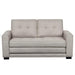 Upholstered Pull Out Sleeper Loveseat
