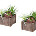 Artificial Succulent, Table Decor (Set of 2) - Green / Dark Brown