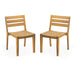 Outdoor Dining Side Chair (Set of 2) - Teak Finish