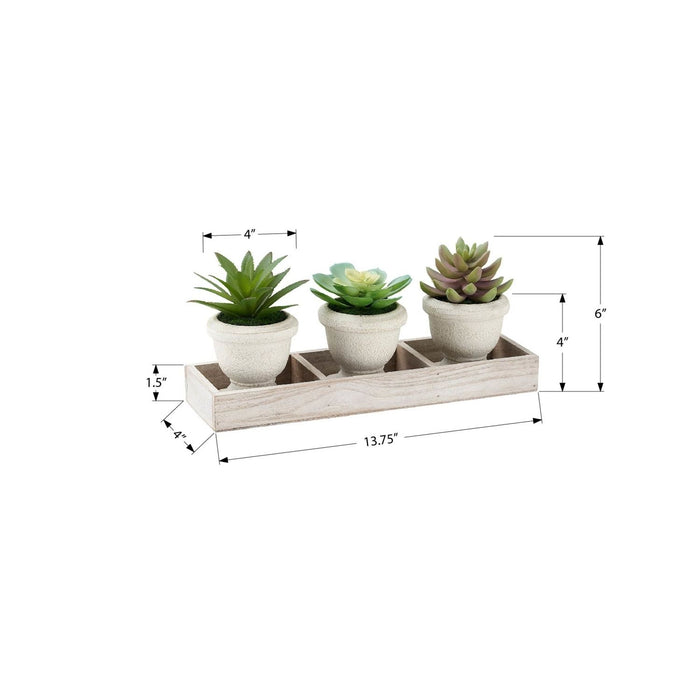 Artificial Succulent, Table Decor (Set of 3) - Green / Beige