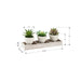 Artificial Succulent, Table Decor (Set of 3) - Green / Beige