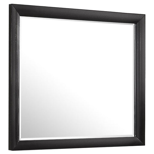 Briana - Rectangle Dresser Mirror - Black Sacramento Furniture Store Furniture store in Sacramento
