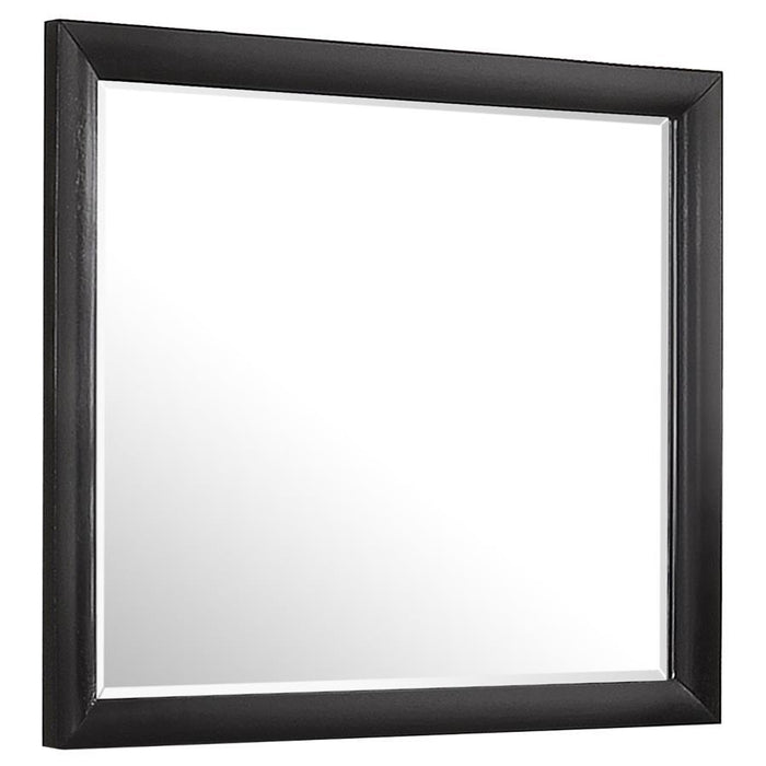 Briana - Rectangle Dresser Mirror - Black Sacramento Furniture Store Furniture store in Sacramento