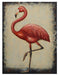 Finnridge - Indoor/Outdoor Wall Decor - Pink / Beige / Black