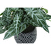 Artificial Alocasia Plant (Set of 2)