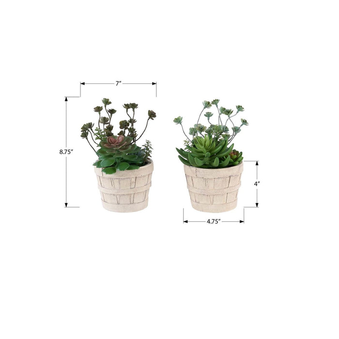 Artificial Succulent, Table Decor (Set of 2) - Green / Beige
