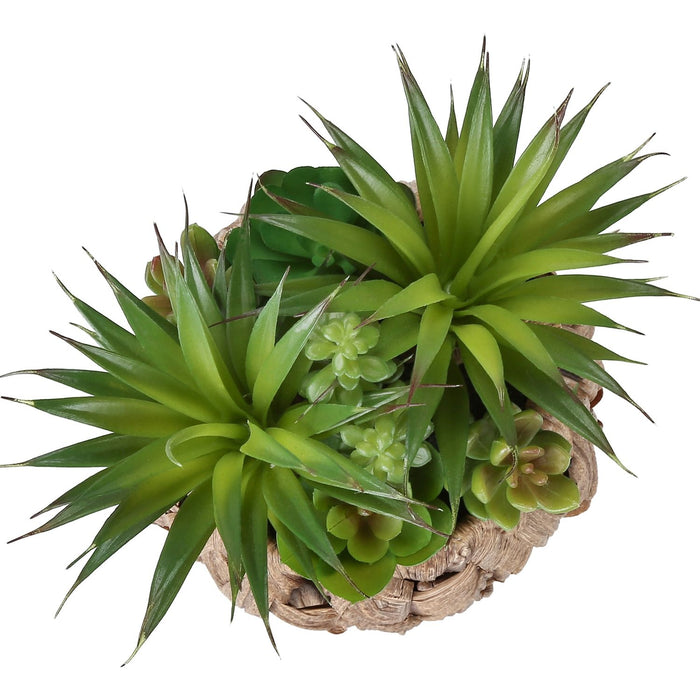 Artificial Succulent, Table Decor (Set of 2) - Green