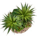 Artificial Succulent, Table Decor (Set of 2) - Green