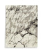 Worthbrook - Rug