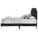 Zeena - Bed