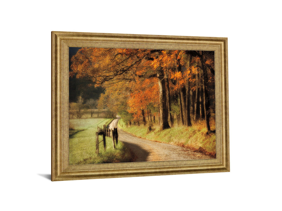 Amber Forest Pathway - 28" x 34" Framed Wall Art