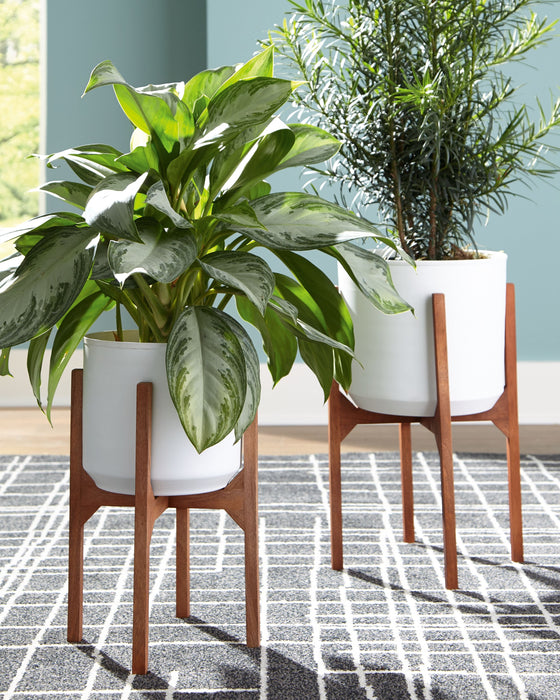 indoor plants sacramento Dorcey Planter (Set of 2)