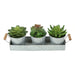 Artificial Succulent, Table Decor (Set of 3) - Green
