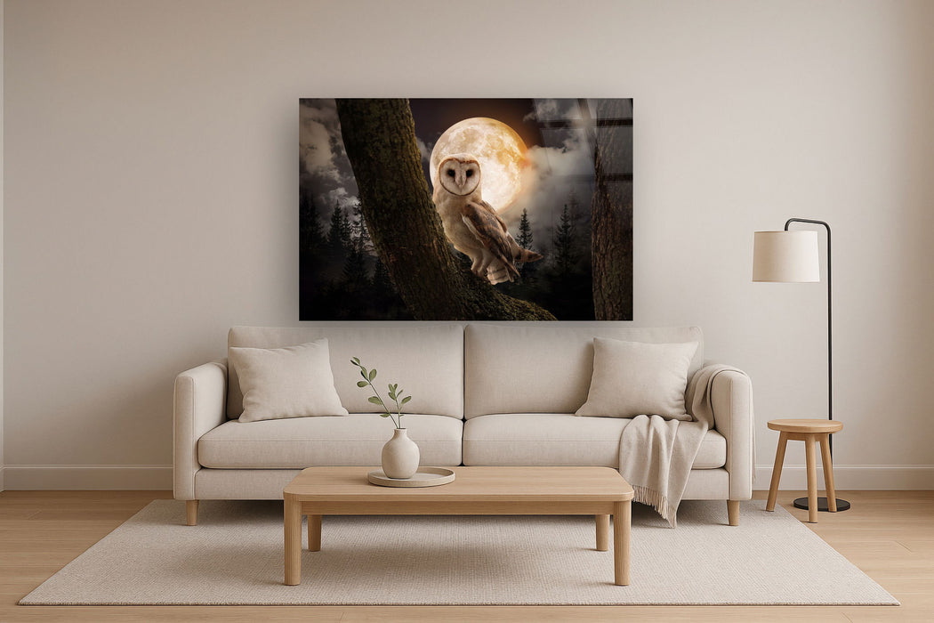 Tempered Glass With Foil - Night Owl - Dark Gray