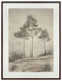 Fenngrove - Wall Art - Brown / Beige
