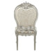 Bently - Side Chair (Set of 2) - Fabric & Champagne