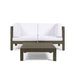 Oana - 3 Piece Love Seat Set With Coffee Table