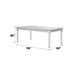 Varian - 78" Dining Table - Mirrored & Antique Platinum