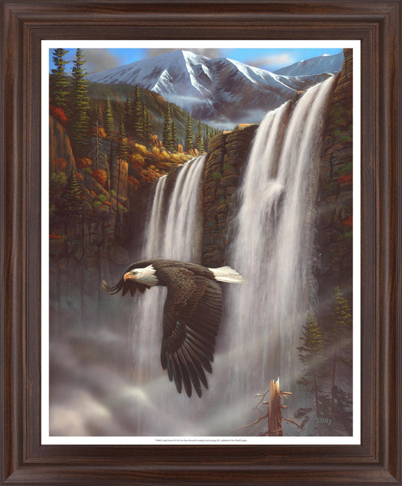 Soaring Above Falls - 28" x 34" Framed Wall Art