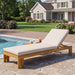 Outdoor Chaise Lounge With 5 Position Adjustable Backrest