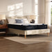 Dreamcloud Classic Memory Foam - Queen Mattress - White