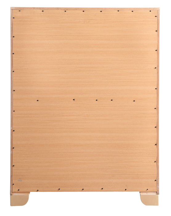 Sleek Contemporary Storage Chest