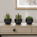 Artificial Succulent Plants (Set of 3)