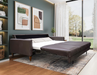 Omnia Leather The Bliss Sleeper Sofa | Sacramento Furniture Store