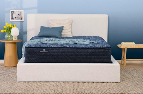 Perfect Sleeper cobalt calm extra firm in Sacramento, CA 95841