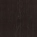 Lavon Wood Dining Side Chair Black and Espresso (Set of 2)