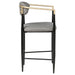 Tina Fabric Upholstered Counter Chair Dark Grey (Set of 2)
