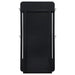 Leandro 76-inch Full Length Floor Mirror Burnished Black