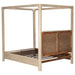 Solano 4-piece Queen Bedroom Set Weathered Mango