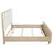 Ladera 56-inch Eastern King Panel Bed Light Elm