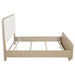 Ladera 56-inch Queen Panel Bed Light Elm