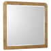 Robyn 4-piece Queen Bedroom Set Light Ash