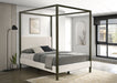 Monroe Upholstered Queen Canopy Bed Vanilla