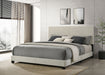 Dorian Fabric Upholstered Eastern King Panel Bed Cream
