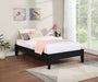 Hounslow Twin Universal Platform Bed Black