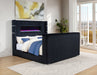 Tisdall Eastern King Flame Visualizer Wingback TV Bed Black
