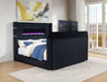Tisdall Eastern King Flame Visualizer Wingback TV Bed Black