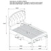 Marianna 4-drawer Upholstered Full Storage Bed Cream