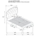 Marianna 4-drawer Upholstered Queen Storage Bed Cream