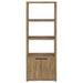 Tabby 3-shelf Engineered Wood Media Tower Mango