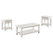 Payne 3-piece Coffee and 1-drawer End Table Set White