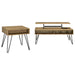 Fanning 2-piece Lift Top Coffee and End Table Set Golden Oak