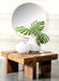 Samira Square Solid Wood Coffee Table Natural Sheesham